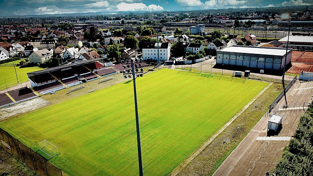 上赛季那不 上赛季那不