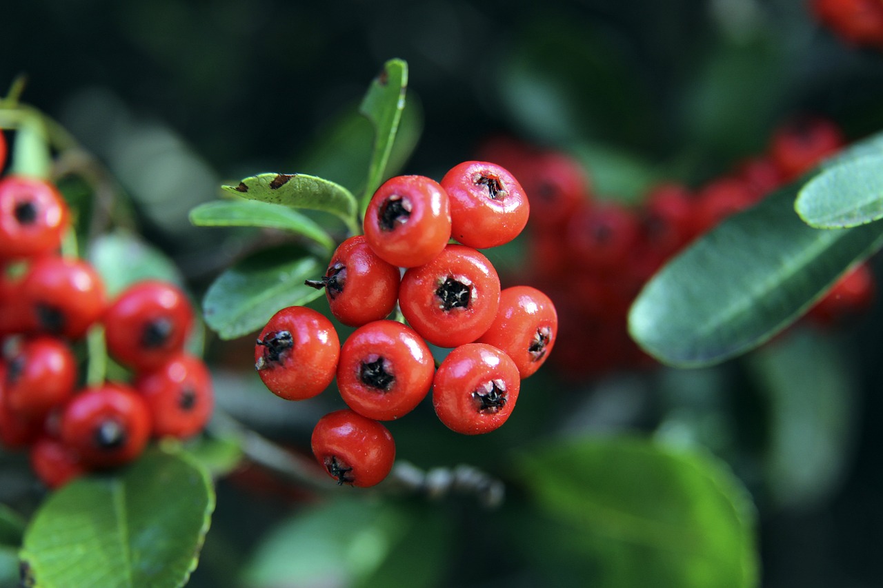 领袖风范