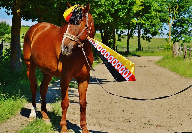 足球赛场似 足球赛场似