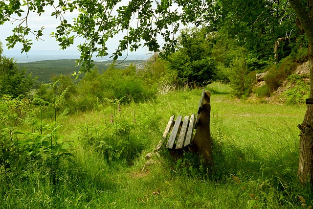 凭借王牌投 凭借王牌投